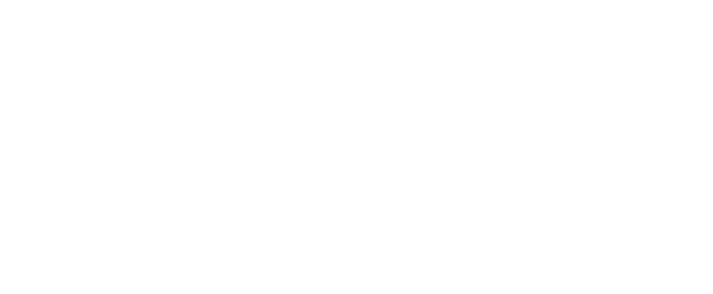 logo DDC Digital Detox Community malé bílé